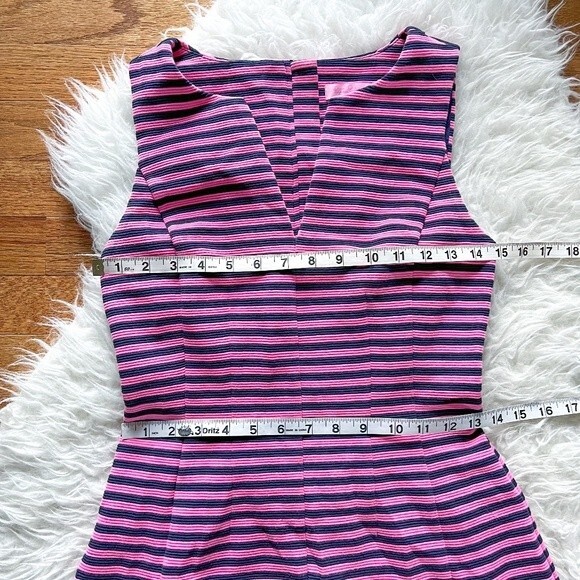 Lilly Pulitzer Brielle Fit and Flare Dress - Pink and Navy Stripe | Size XS - Picture 5 of 9